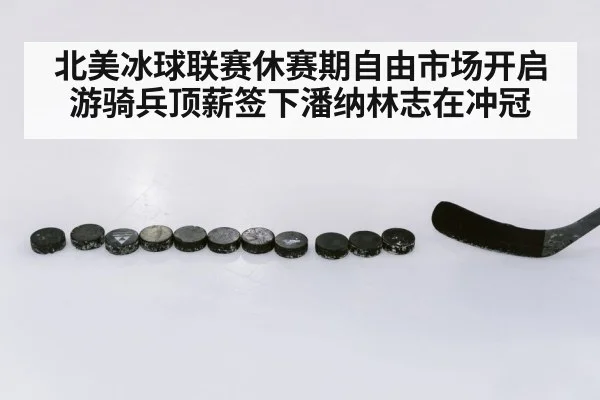 北美冰球联赛休赛期自由市场开启 游骑兵顶薪签下潘纳林志在冲冠